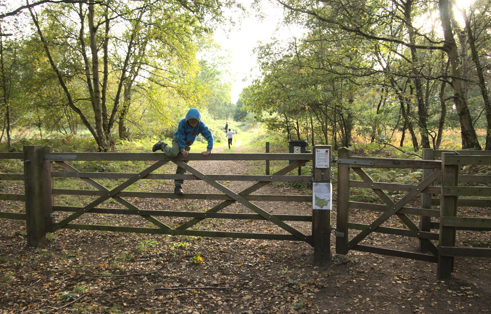 Harry clambers over a gate from Evidence of Autumn: Geocaching on Knettishall Heath, Suffolk - 7th October 2018