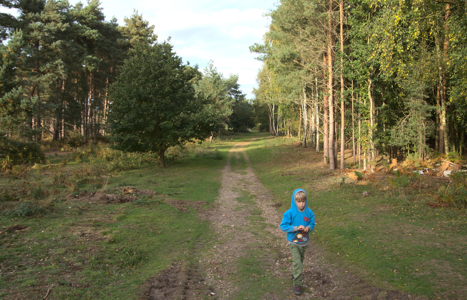 Harry on a path from Evidence of Autumn: Geocaching on Knettishall Heath, Suffolk - 7th October 2018