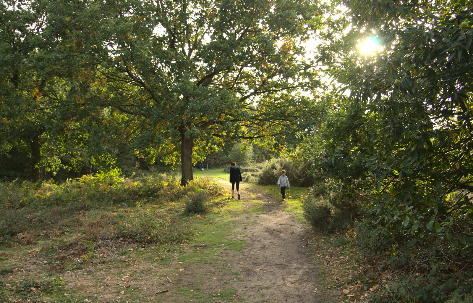 Isobel and Fred in the autumn sun from Evidence of Autumn: Geocaching on Knettishall Heath, Suffolk - 7th October 2018