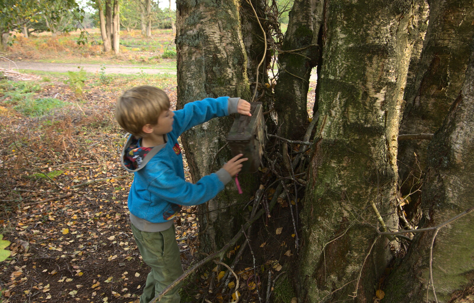 Harry puts the box back where we found it from Evidence of Autumn: Geocaching on Knettishall Heath, Suffolk - 7th October 2018