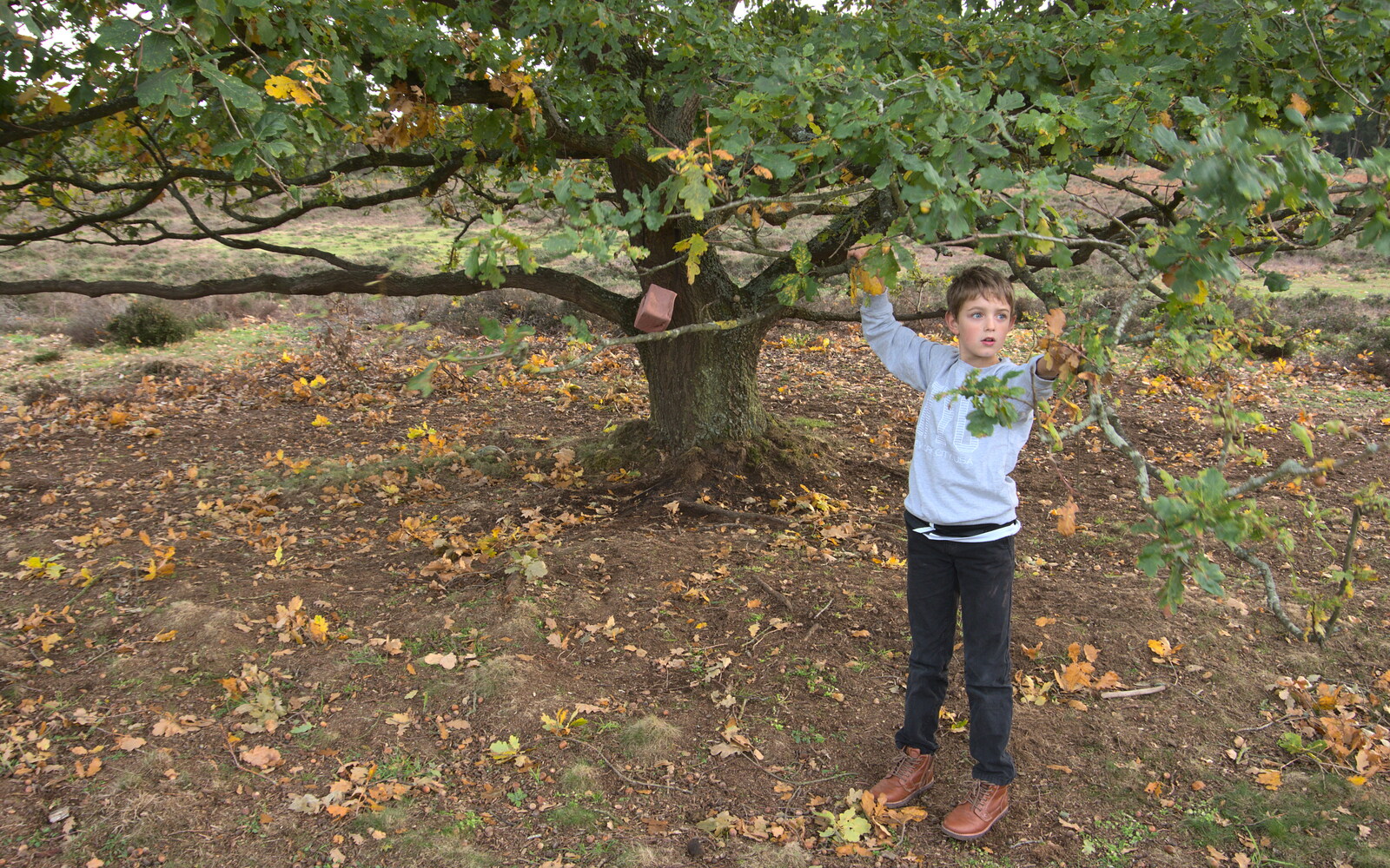 Fred waves a bit of tree around from Evidence of Autumn: Geocaching on Knettishall Heath, Suffolk - 7th October 2018