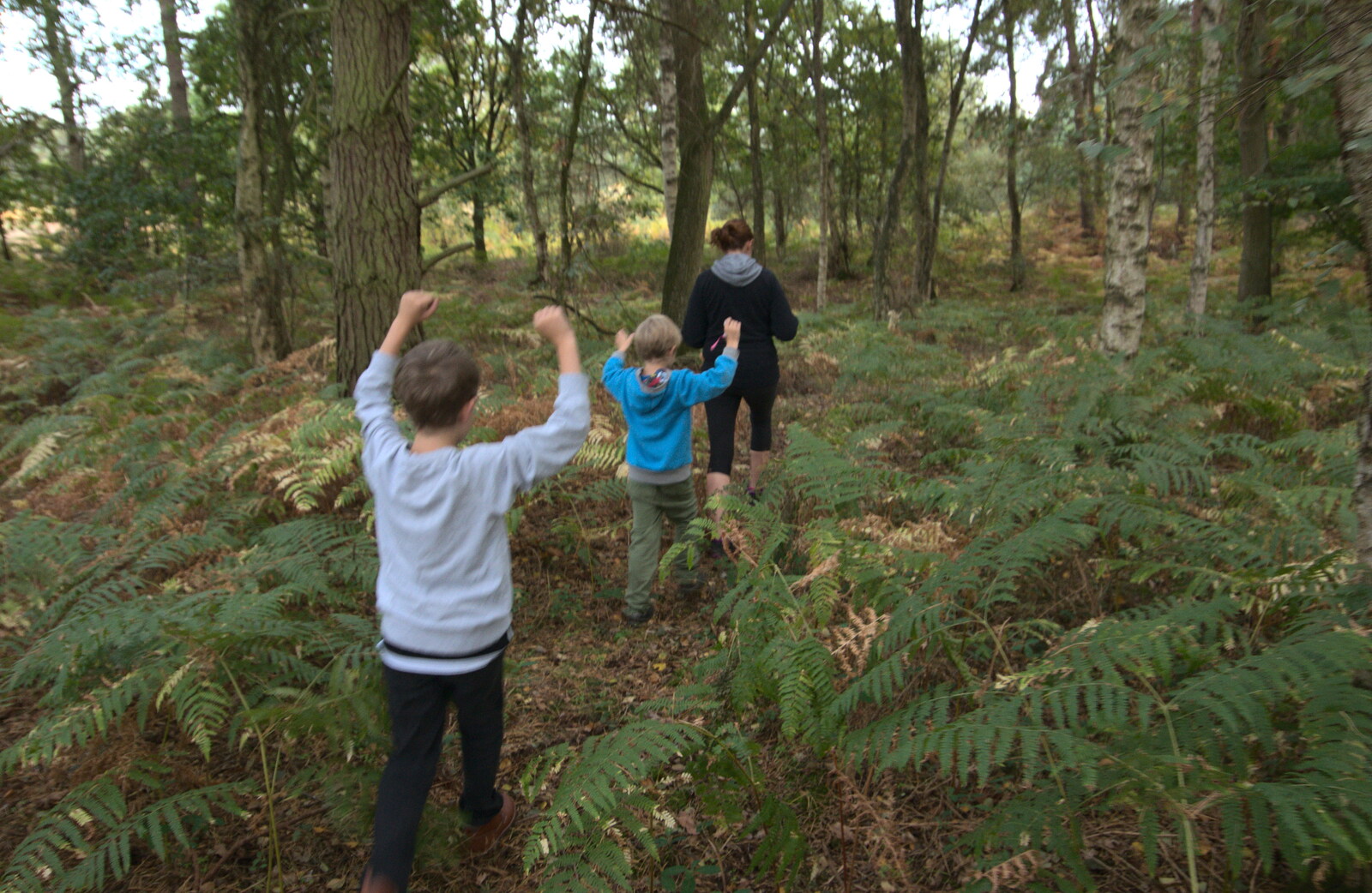 Arms up to avoid nettles from Evidence of Autumn: Geocaching on Knettishall Heath, Suffolk - 7th October 2018