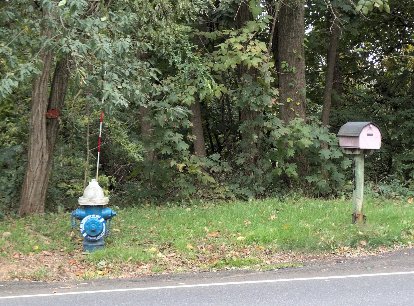 A fire hydrant and letterbox on a post, from A Trip to Short Hills, New Jersey, United States - 20th October 2018