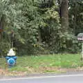 A fire hydrant and letterbox on a post, A Trip to Short Hills, New Jersey, United States - 20th October 2018