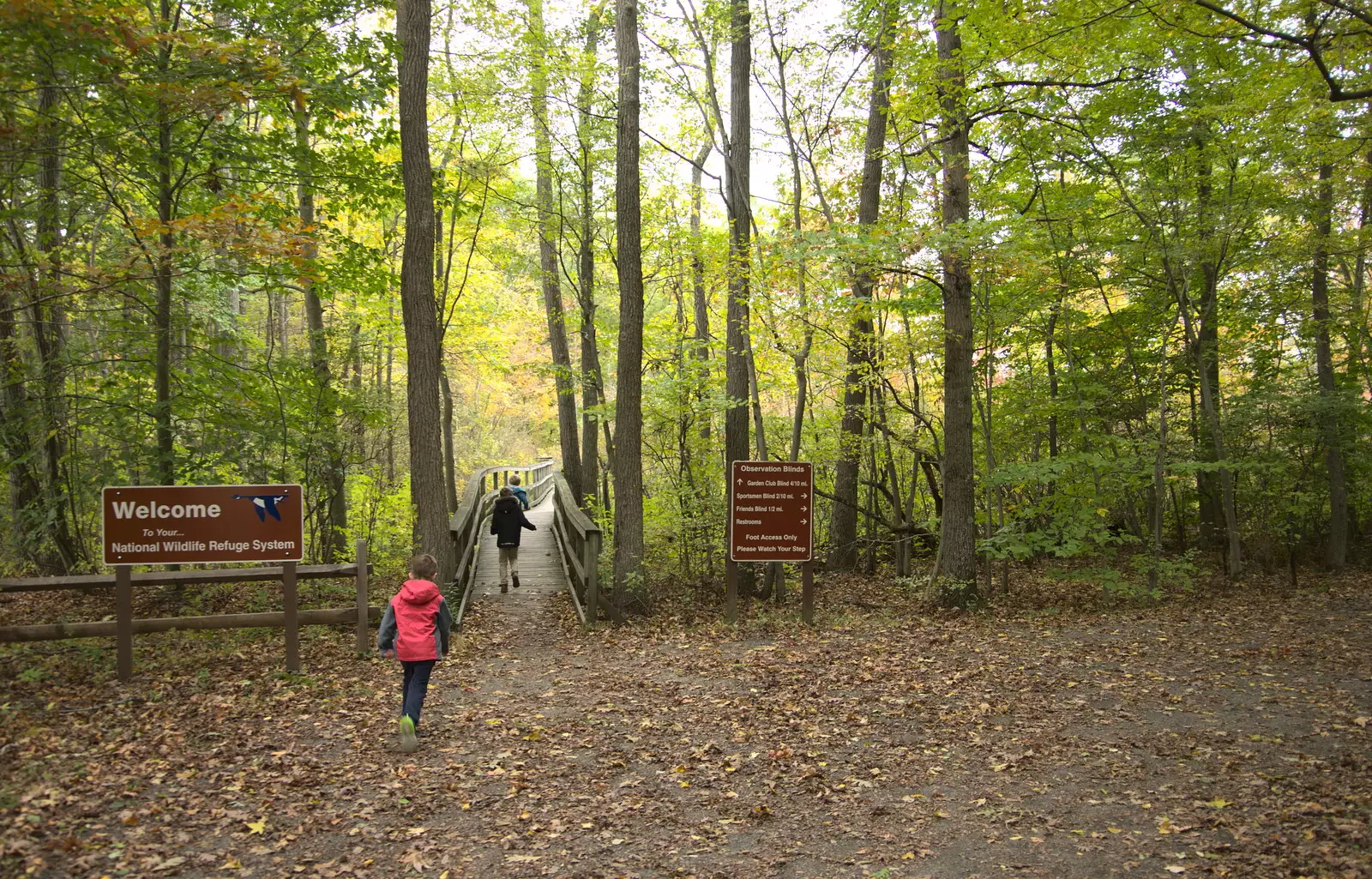 We head off into the trees, from A Trip to Short Hills, New Jersey, United States - 20th October 2018