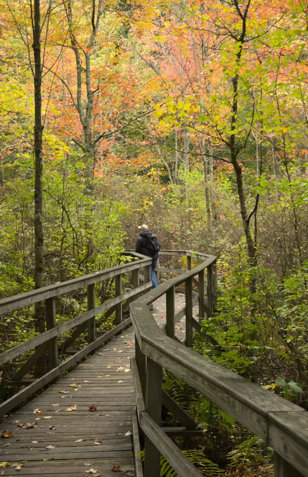 Off into the autumn leaves, from A Trip to Short Hills, New Jersey, United States - 20th October 2018