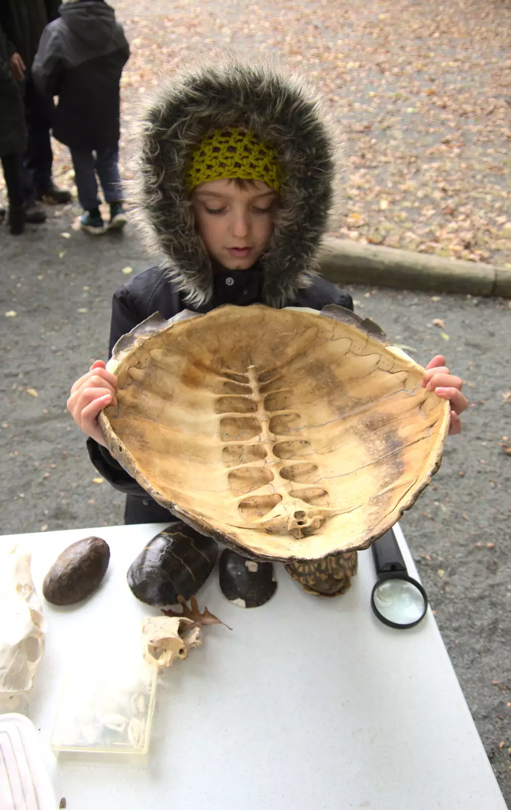 Fred's got a huge turtle shell, from A Trip to Short Hills, New Jersey, United States - 20th October 2018