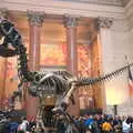 Cool dinosaur skeleton in the entrance lobby, Open-top Buses and a Day at the Museum, New York, United States - 22nd October 2018