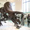 A Triceratops fossil skeleton, Open-top Buses and a Day at the Museum, New York, United States - 22nd October 2018