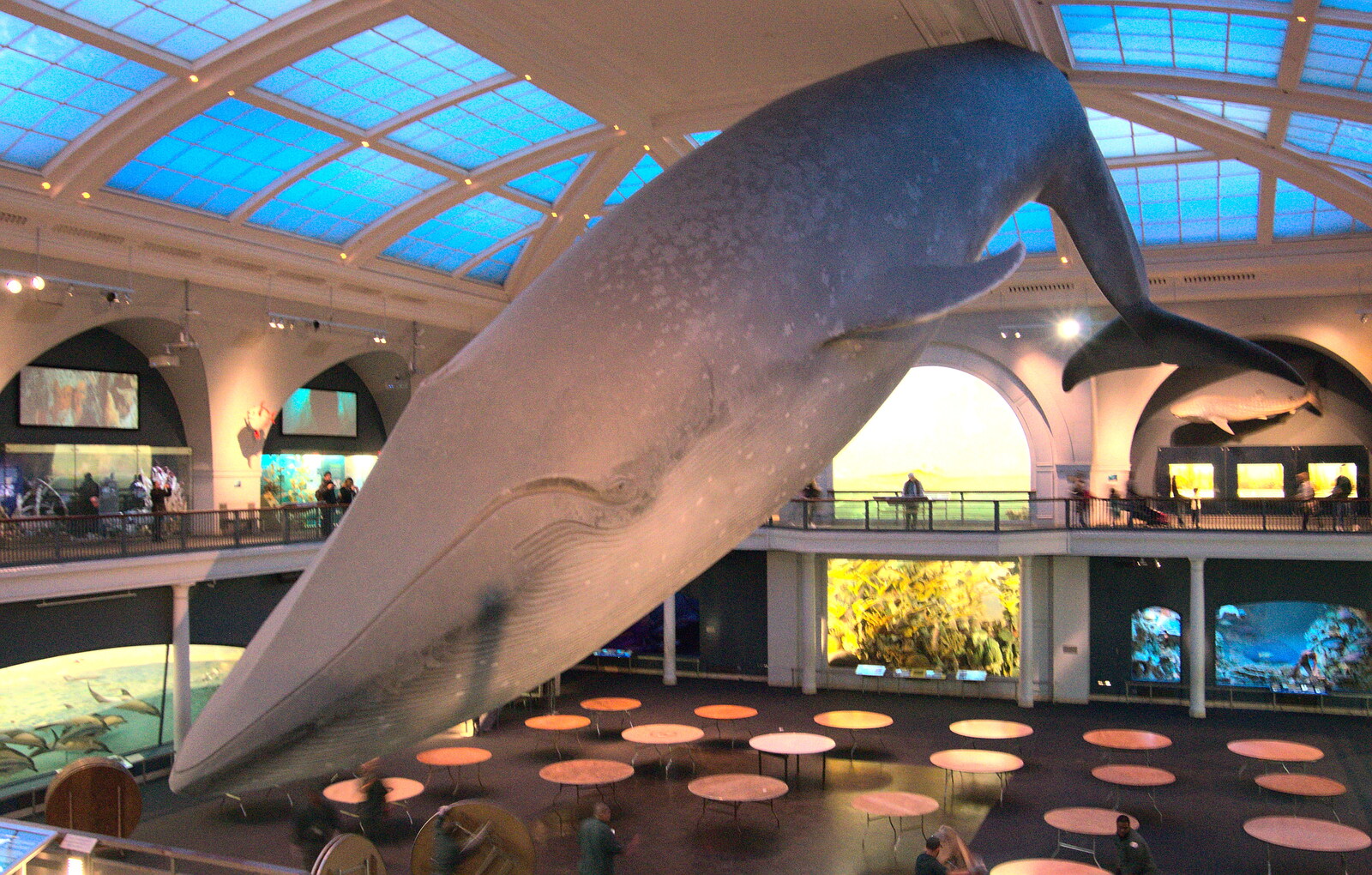 A giant Blue Whale from Open-top Buses and a Day at the Museum, New York, United States - 22nd October 2018