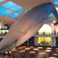 A giant Blue Whale, Open-top Buses and a Day at the Museum, New York, United States - 22nd October 2018