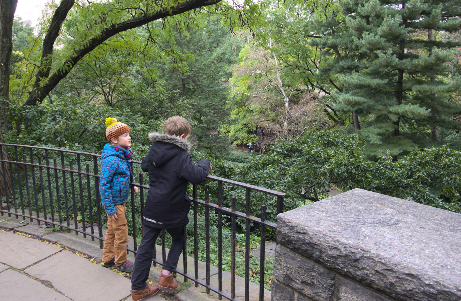 Harry and Fred look out over Central Park from Open-top Buses and a Day at the Museum, New York, United States - 22nd October 2018