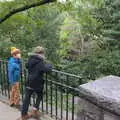 Harry and Fred look out over Central Park, Open-top Buses and a Day at the Museum, New York, United States - 22nd October 2018