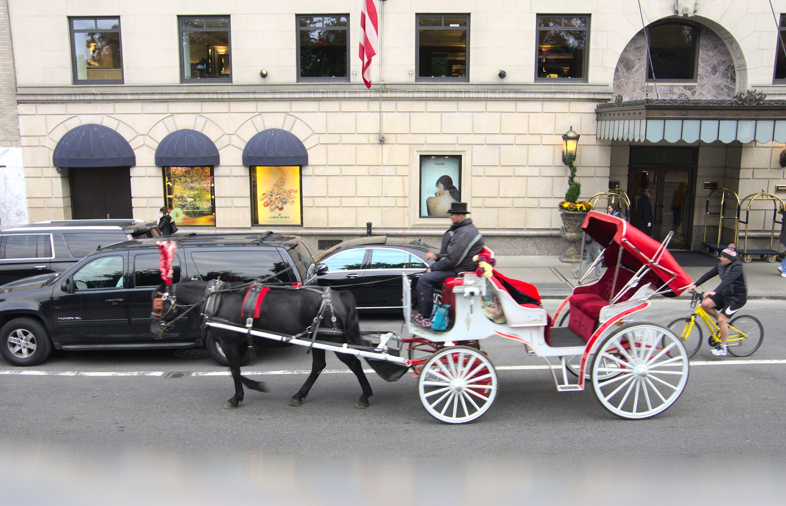 A tourist pony and cart from Open-top Buses and a Day at the Museum, New York, United States - 22nd October 2018