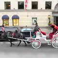 A tourist pony and cart, Open-top Buses and a Day at the Museum, New York, United States - 22nd October 2018