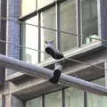 Iconic shoes-on-a-wire, The Liberty Cruise and One World Trade Center, New York, United States - 23rd October 2018