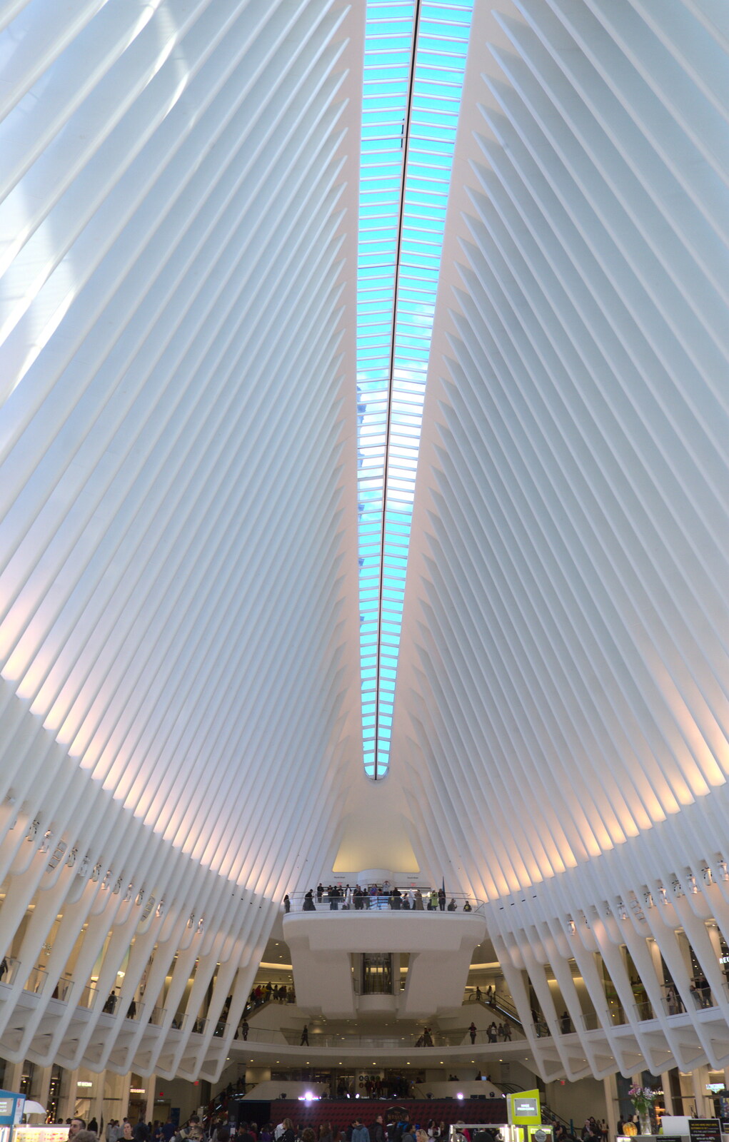 The Occulus is like a big rib cage from The Liberty Cruise and One World Trade Center, New York, United States - 23rd October 2018
