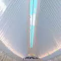 The Occulus is like a big rib cage, The Liberty Cruise and One World Trade Center, New York, United States - 23rd October 2018