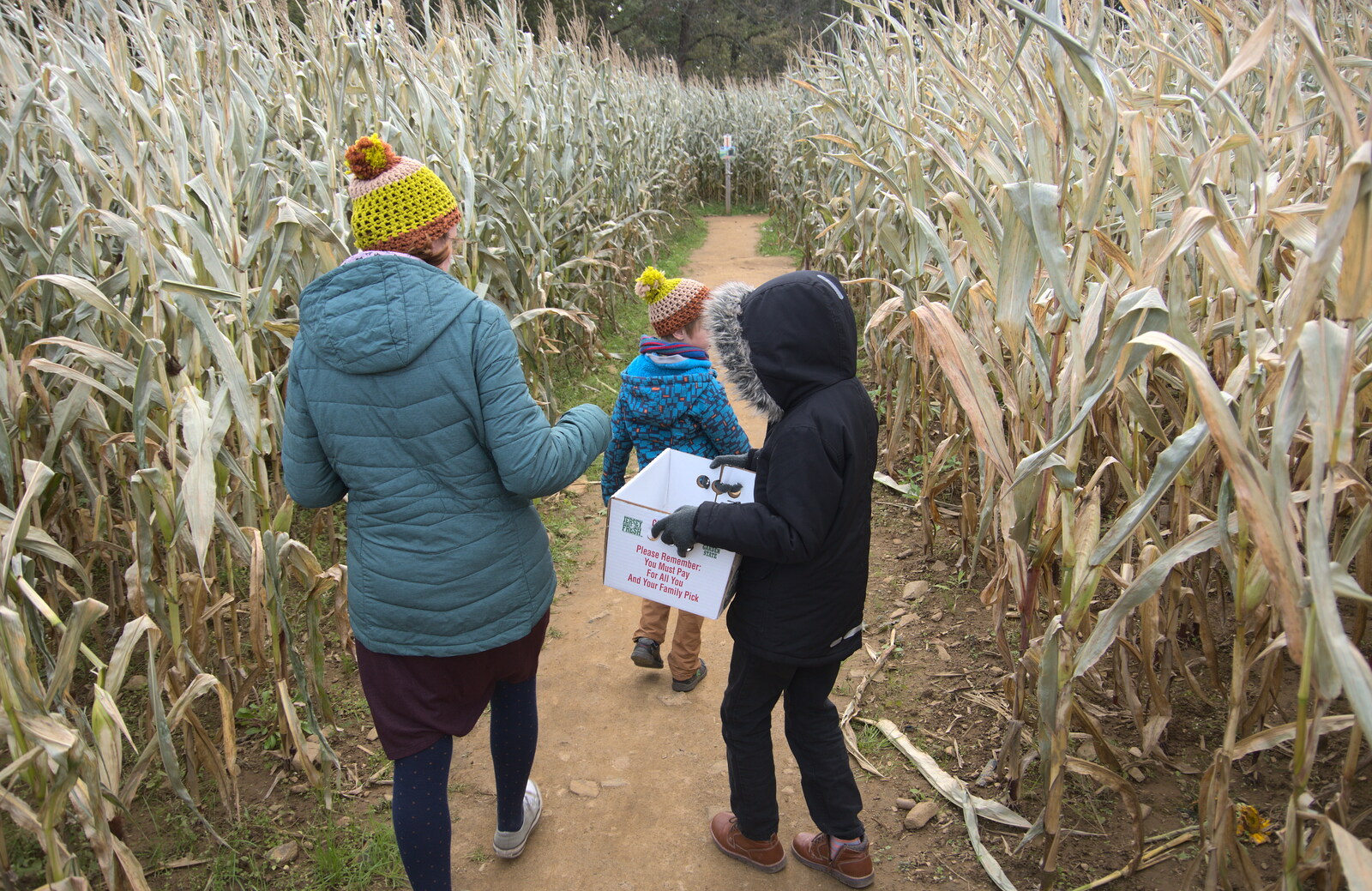 We roam around in the 'beginners' maze from Pumpkin Picking at Alstede Farm, Chester, Morris County, New Jersey - 24th October 2018