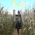 We reach the centre of the maze, Pumpkin Picking at Alstede Farm, Chester, Morris County, New Jersey - 24th October 2018