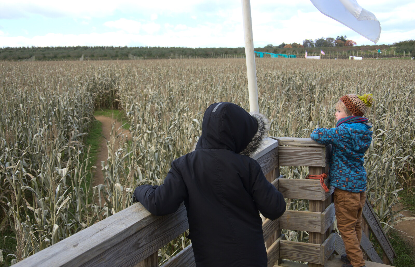 Fred and Harry look out over the maize from Pumpkin Picking at Alstede Farm, Chester, Morris County, New Jersey - 24th October 2018