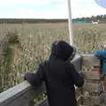 Fred and Harry look out over the maize, Pumpkin Picking at Alstede Farm, Chester, Morris County, New Jersey - 24th October 2018