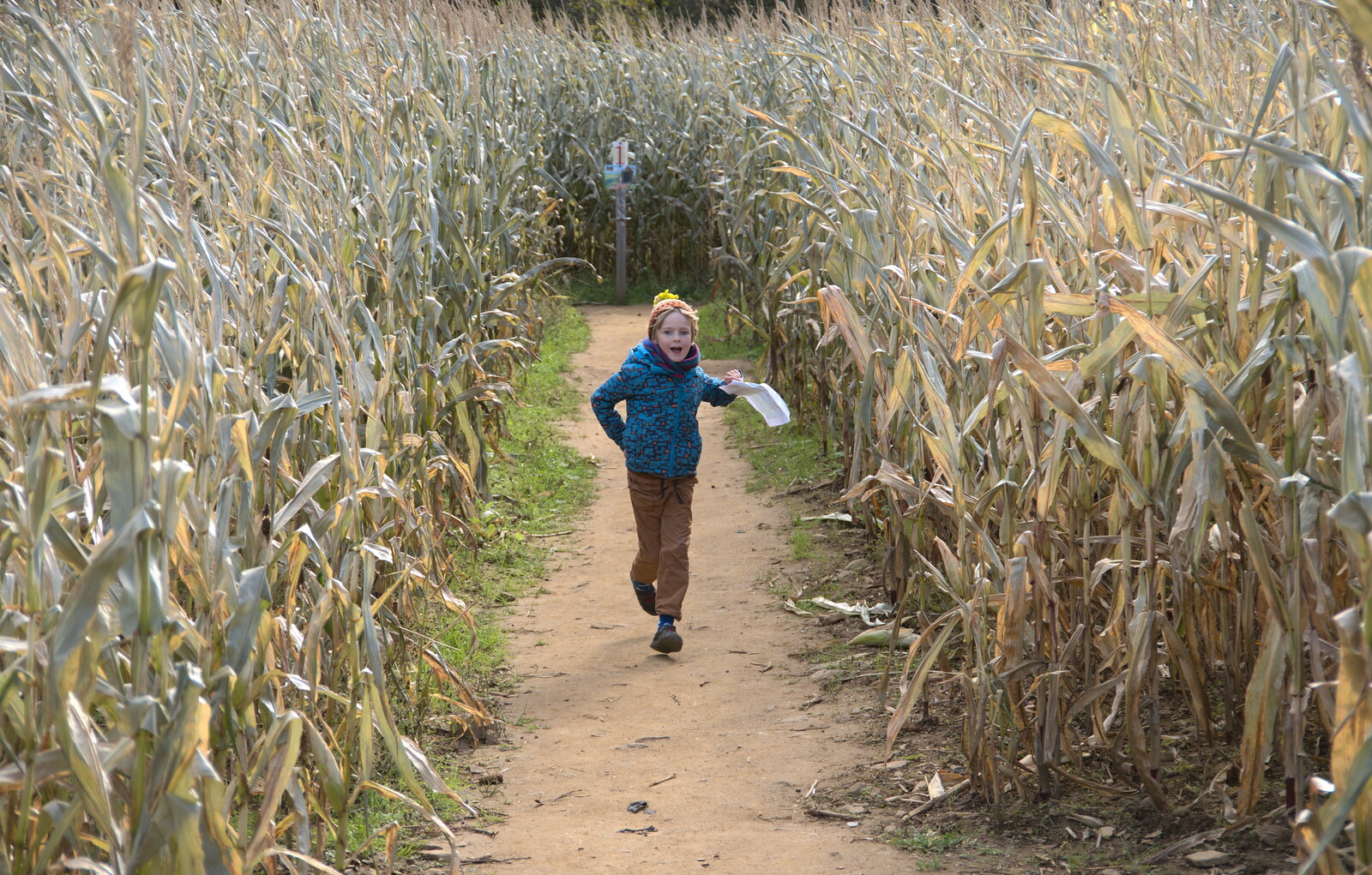 Harry runs out of the maze from Pumpkin Picking at Alstede Farm, Chester, Morris County, New Jersey - 24th October 2018