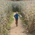 Harry runs out of the maze, Pumpkin Picking at Alstede Farm, Chester, Morris County, New Jersey - 24th October 2018