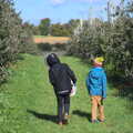 Fred and Harry look for more apples to pick, Pumpkin Picking at Alstede Farm, Chester, Morris County, New Jersey - 24th October 2018