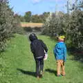 Fred and Harry look for more apples to pick, Pumpkin Picking at Alstede Farm, Chester, Morris County, New Jersey - 24th October 2018