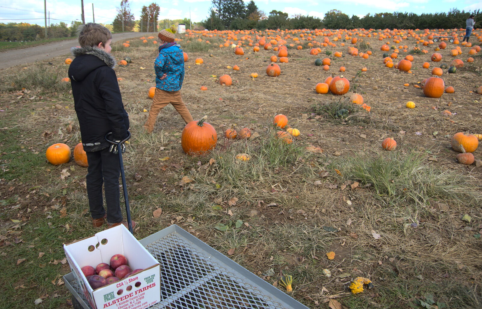 We arrive at the pumpkin field from Pumpkin Picking at Alstede Farm, Chester, Morris County, New Jersey - 24th October 2018