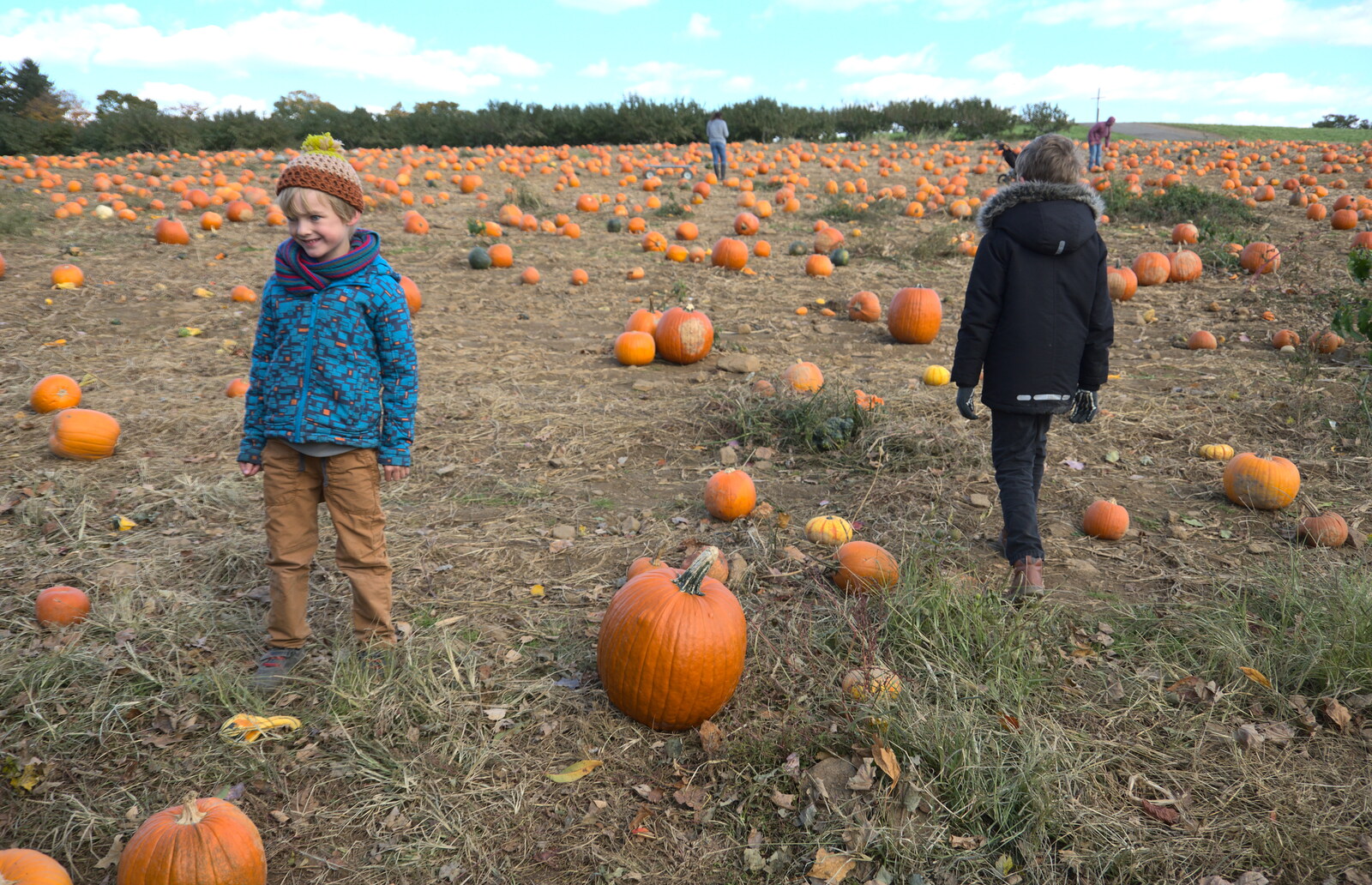 The boys are overwhelmed by the pumpkins on offer from Pumpkin Picking at Alstede Farm, Chester, Morris County, New Jersey - 24th October 2018
