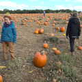 The boys are overwhelmed by the pumpkins on offer, Pumpkin Picking at Alstede Farm, Chester, Morris County, New Jersey - 24th October 2018