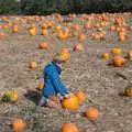 Harry contemplates a big orange vegetable, Pumpkin Picking at Alstede Farm, Chester, Morris County, New Jersey - 24th October 2018