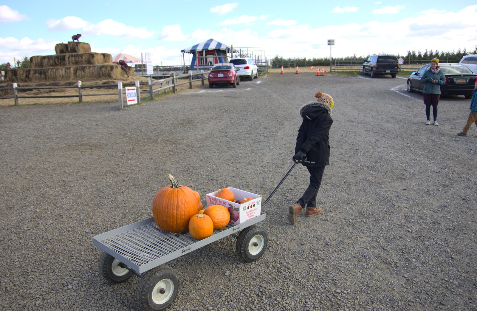 Fred hauls our collection to the car from Pumpkin Picking at Alstede Farm, Chester, Morris County, New Jersey - 24th October 2018