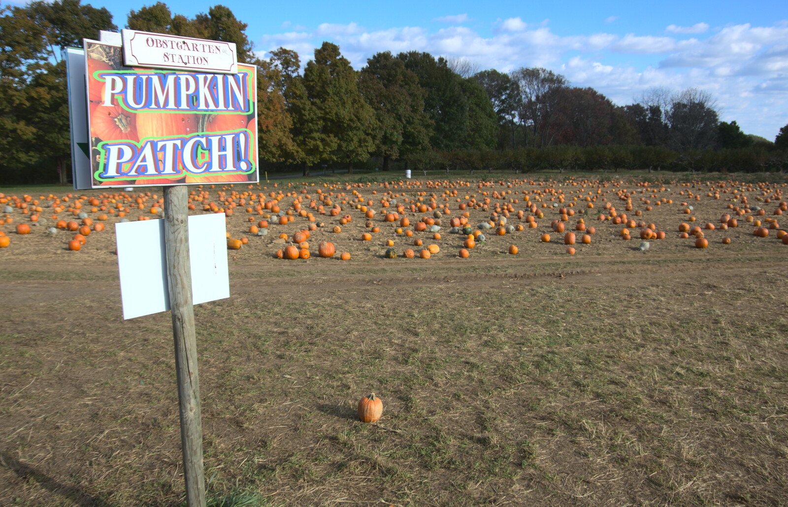 Pumpkin patch sign - in case it wasn't obvious from Pumpkin Picking at Alstede Farm, Chester, Morris County, New Jersey - 24th October 2018
