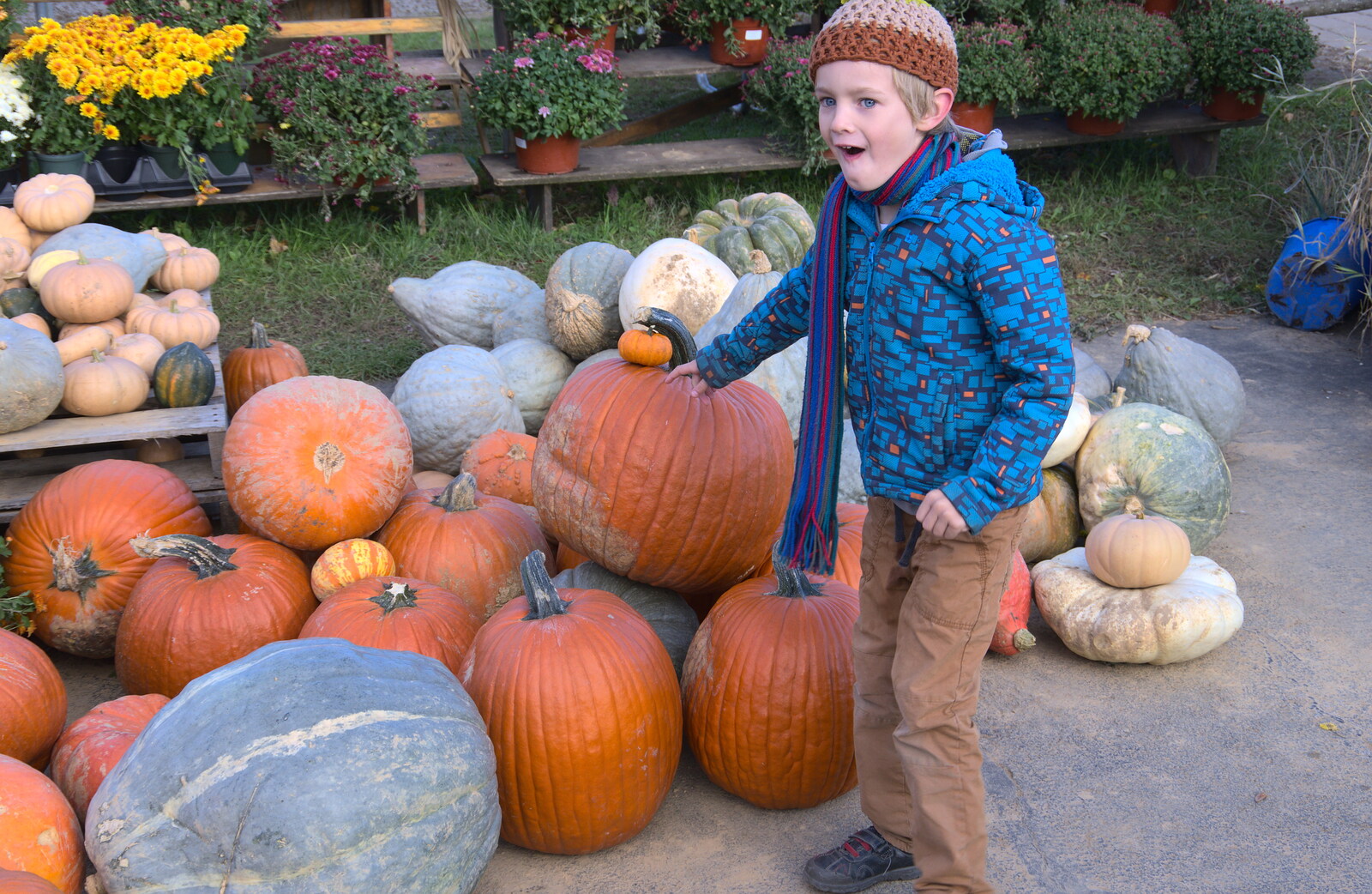 Harry's amazed by a pumpkin from Pumpkin Picking at Alstede Farm, Chester, Morris County, New Jersey - 24th October 2018