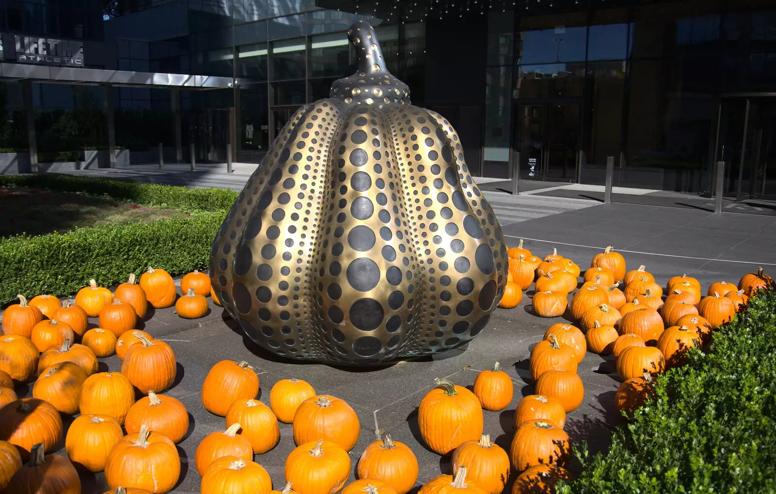 The pumpkin theme is certainly a Thing, from Times Square, USS Intrepid and the High Line, Manhattan, New York - 25th October 2018