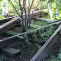 Trees grow up through derelict tracks, Times Square, USS Intrepid and the High Line, Manhattan, New York - 25th October 2018