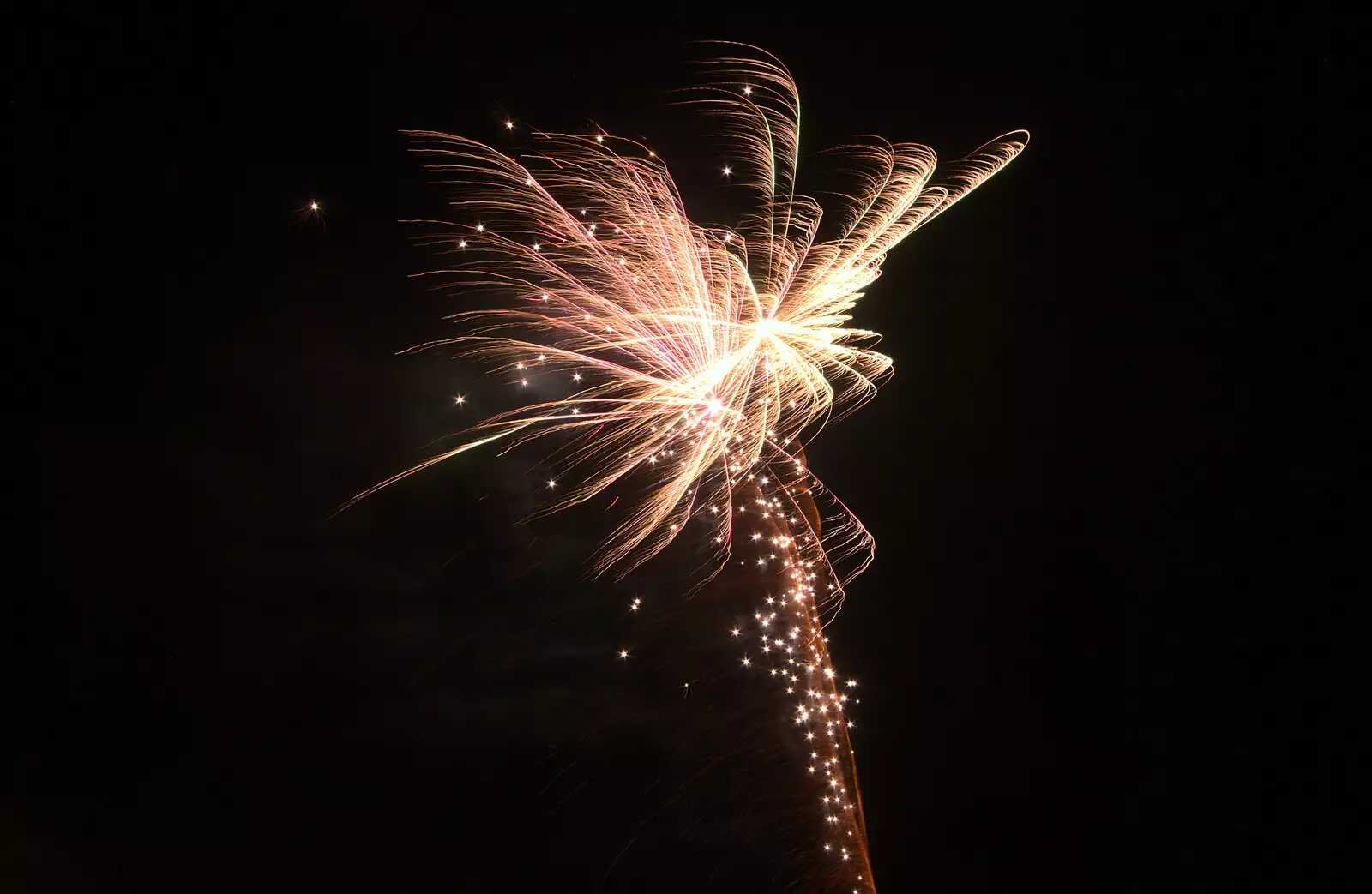 A palm tree in a hurricane, from Apples and Fireworks, Carleton Rode and Palgrave, Suffolk - 4th November 2018