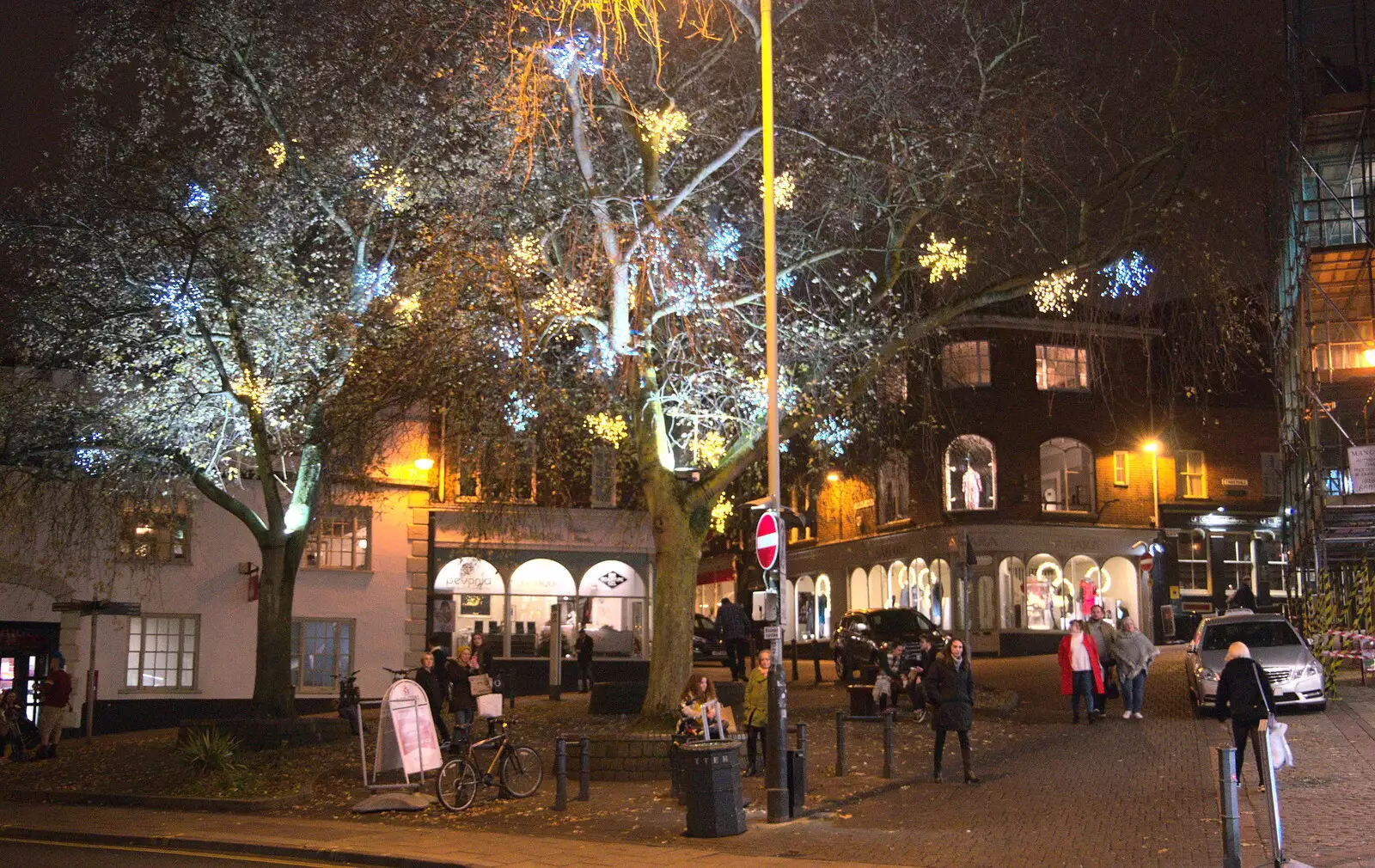 Illuminted tree on the bottom of Timber Hill, from Norwich Lights and Isobel Sings, Norwich, Norfolk - 15th November 2018