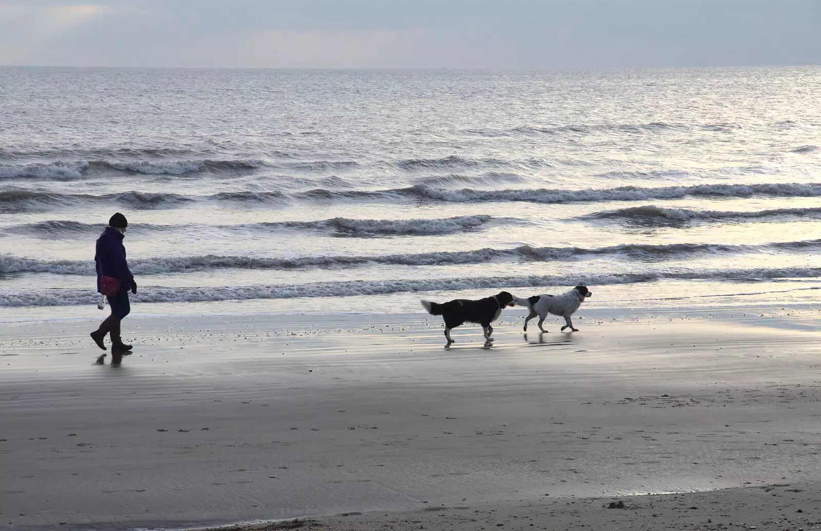 Dog walker on the beach, from Thanksgiving in Highcliffe, Dorset - 23rd November 2018