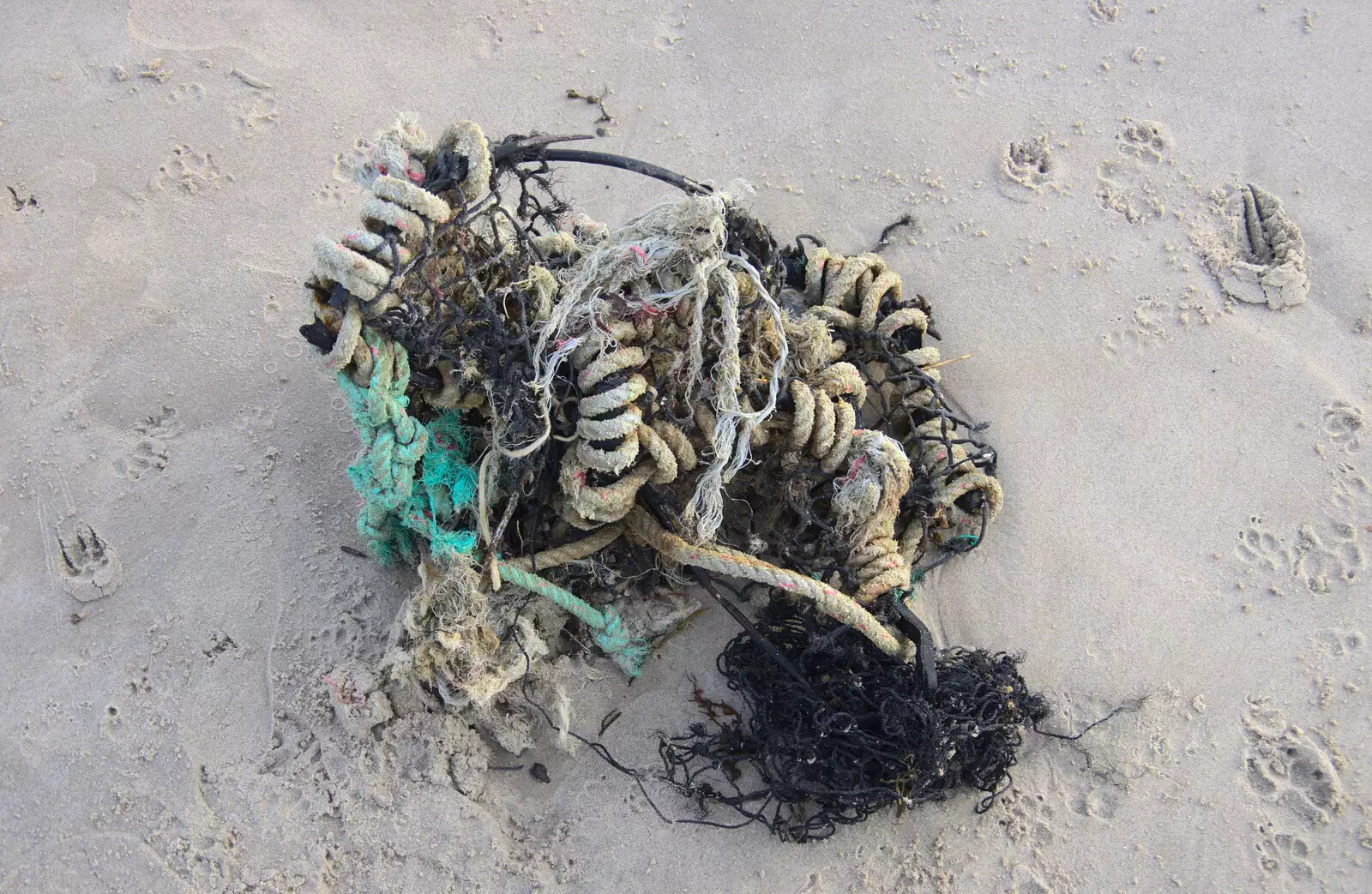 A tangle of knotted ropes, from Thanksgiving in Highcliffe, Dorset - 23rd November 2018