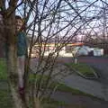 Fred's up a tree at the services near Amesbury, Boxing Day in Devon, Spreyton, Devon - 26th December 2018