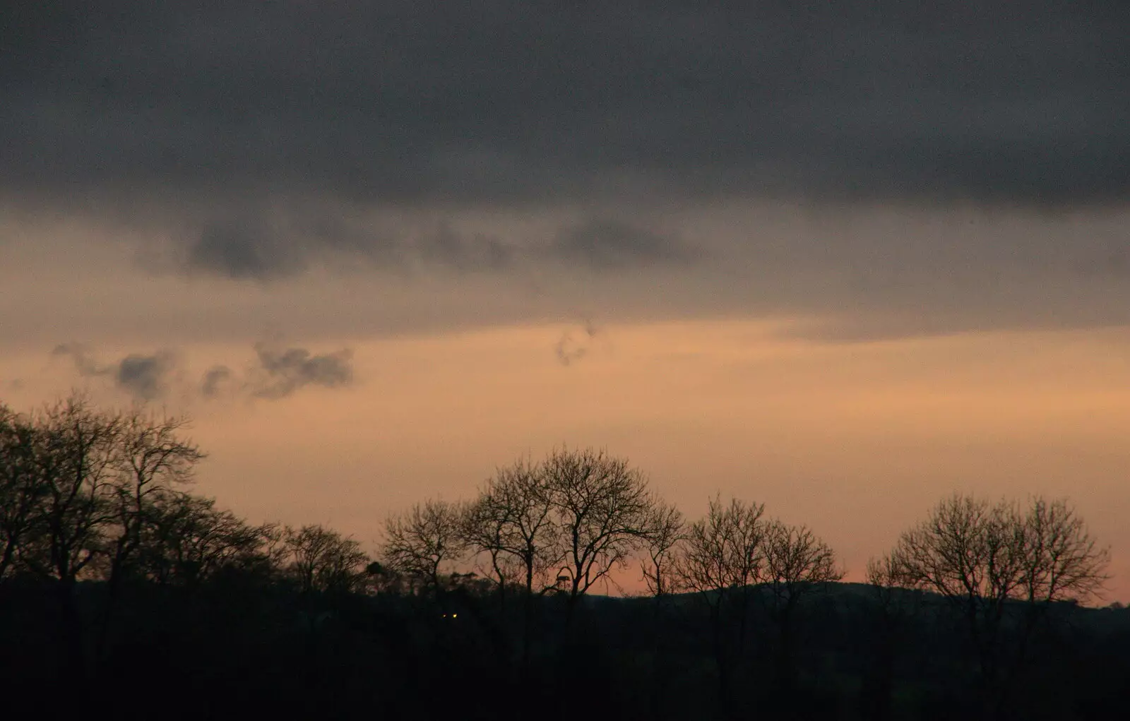 A sunset over skeleton trees, from Boxing Day in Devon, Spreyton, Devon - 26th December 2018