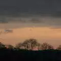 A sunset over skeleton trees, Boxing Day in Devon, Spreyton, Devon - 26th December 2018