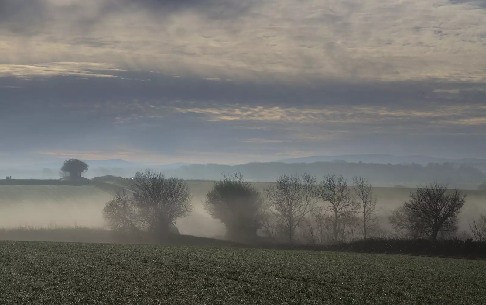 More misty fields, from Boxing Day in Devon, Spreyton, Devon - 26th December 2018