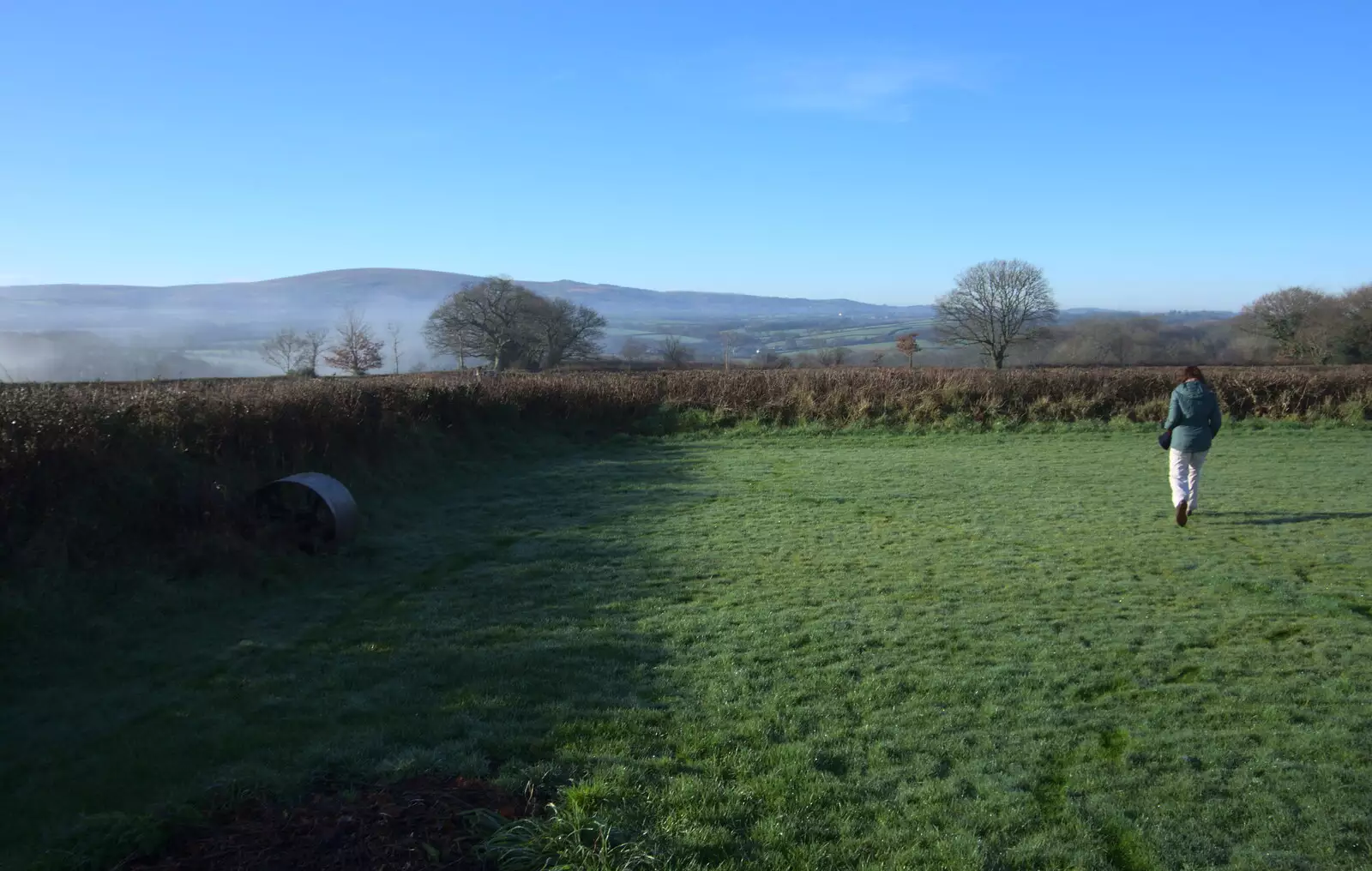 Isobel roams around, from Boxing Day in Devon, Spreyton, Devon - 26th December 2018