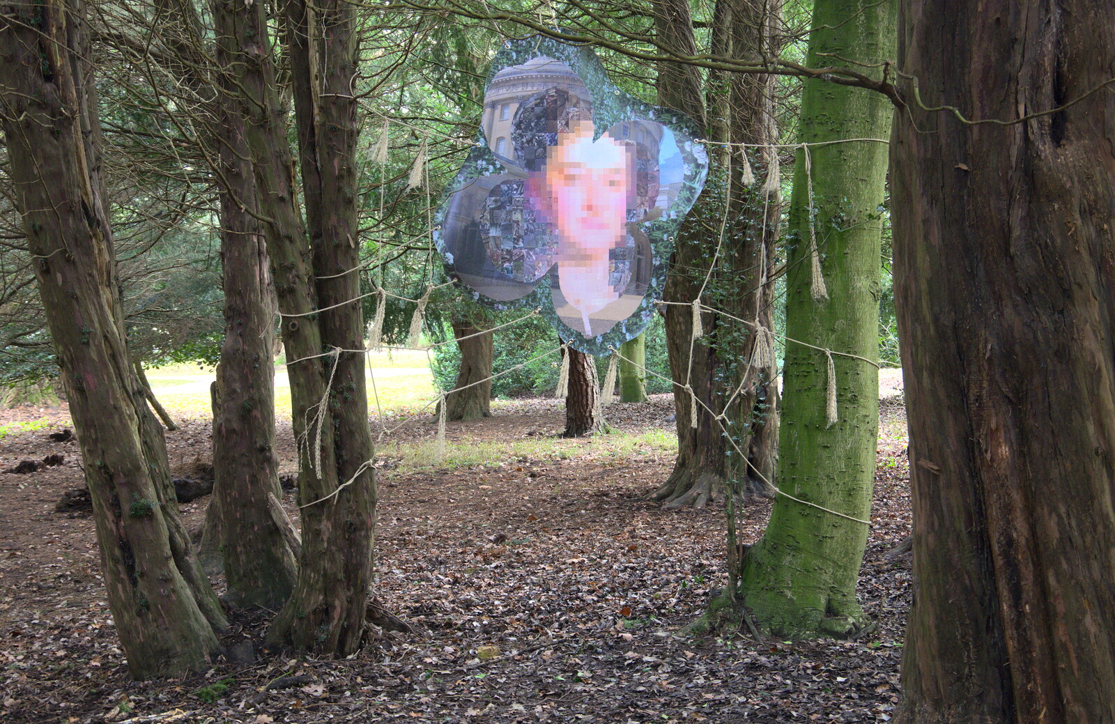 A photo of pixels in the woods from Ickworth House, Horringer, Suffolk - 29th December 2018