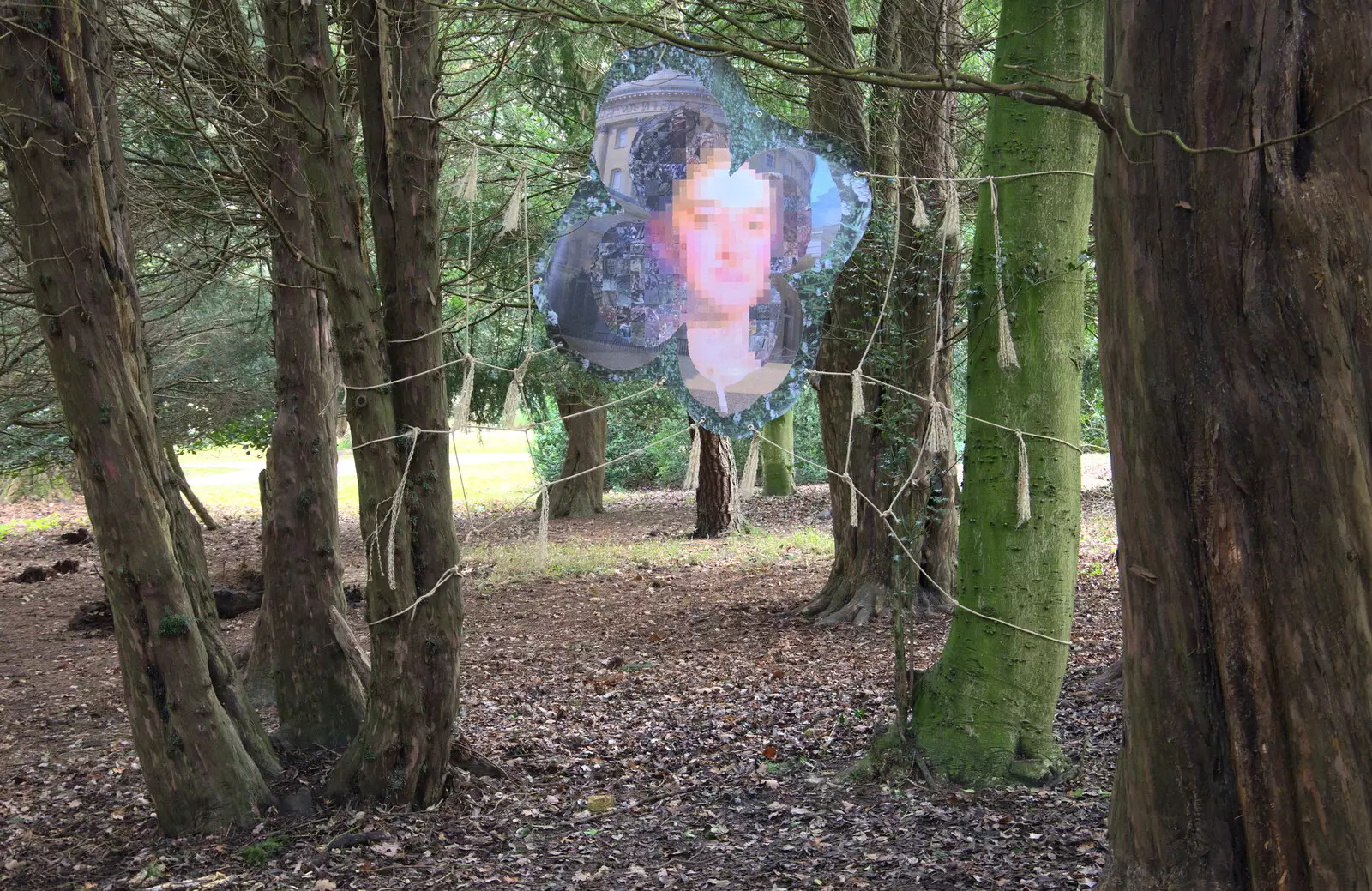 A photo of pixels in the woods, from Ickworth House, Horringer, Suffolk - 29th December 2018